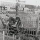 Image for article titled Just How Horrifying Was The Worst Crash In Motorsports, Le Mans '55?
